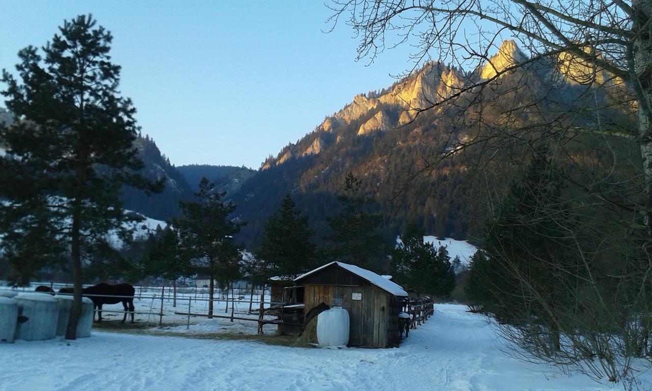 Ubytovanie Sokolica Červený Kláštor Extérieur photo