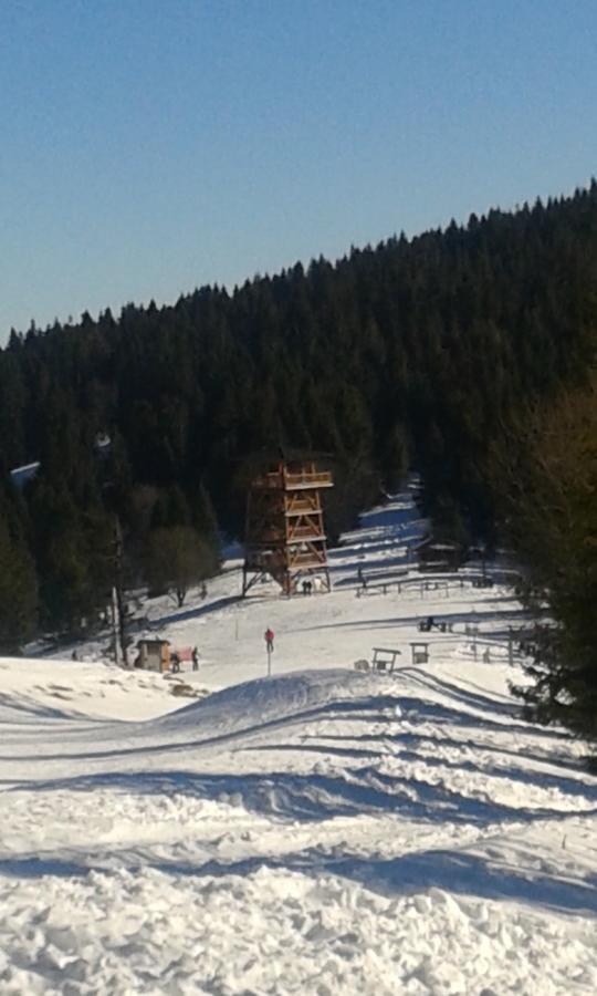 Ubytovanie Sokolica Červený Kláštor Extérieur photo